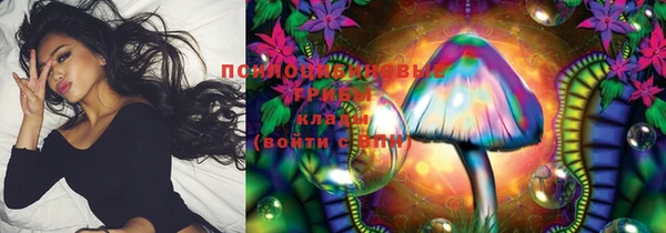 не бодяженный Аркадак