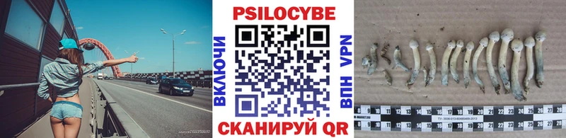 Галлюциногенные грибы GOLDEN TEACHER  Вилюйск 